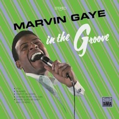 In The Groove