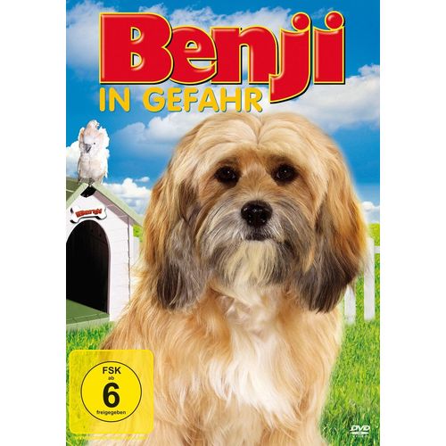 Benji In Gefahr