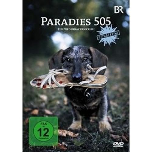 Paradies 505 (Dvd)