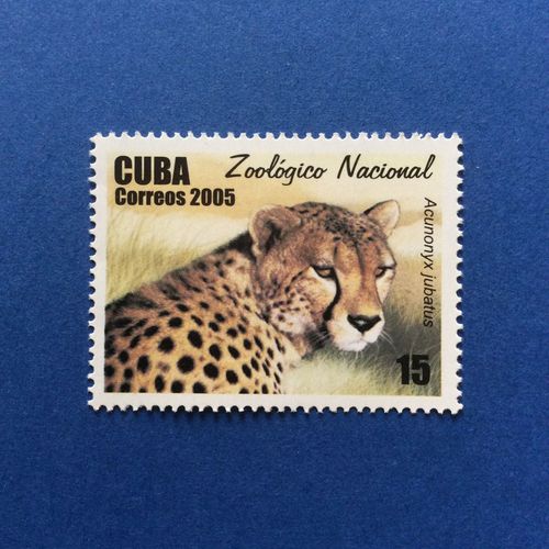 Cuba - Parc Zoologique National - Guépard (Y & T 4263)