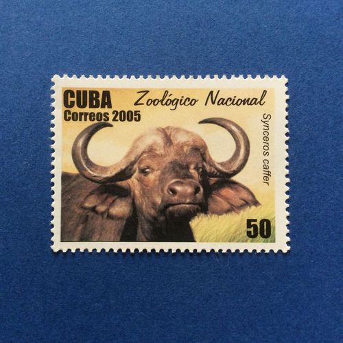 Cuba - Parc Zoologique National - Buffalo (Y & T 4264)