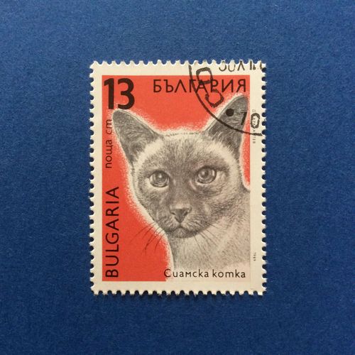 Bulgarie - Chat (Y & T 3291)