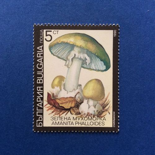 Bulgarie - Champignon Toxique - Amanita Phalloides (Y & T 3352)