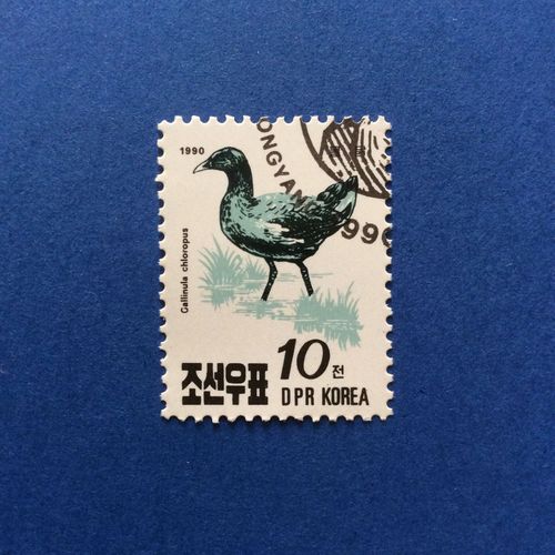 Corée Du Nord - Oiseau - Gallinula Chloropus