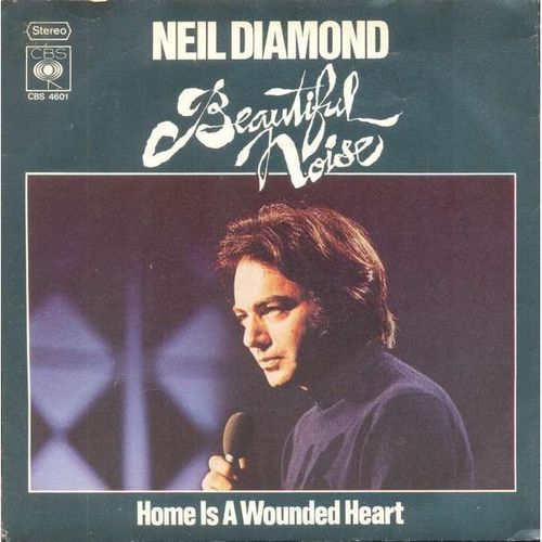 Beautiful Noise