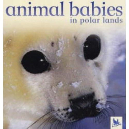 Animal Babies In Polar Lands