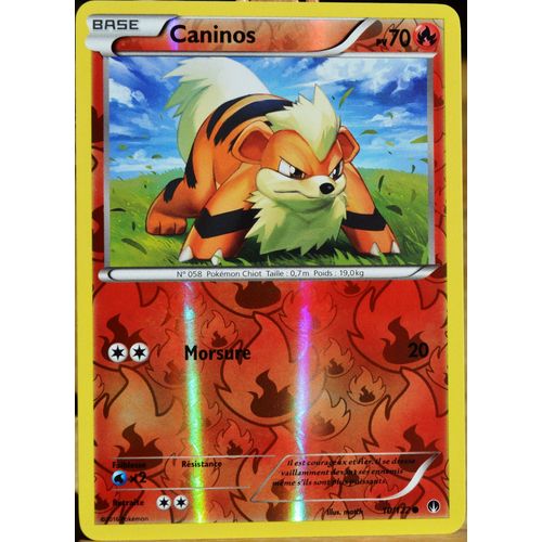 Carte Pokémon 10/122 Caninos 70 Pv - Reverse Xy - Rupture Turbo Neuf Fr