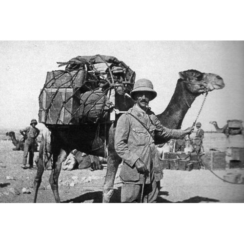 Ww1 - Levant - Transport Par Chameau Pour Un Officier Anglais