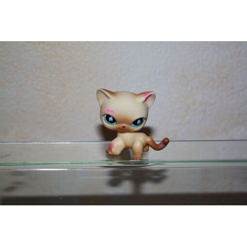 Figurine Littlest Pet Shop Chat Chartreux Hasbro - Édition Spéciale - Occasion