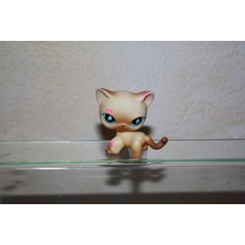 figurine petshop chat européen n°816 