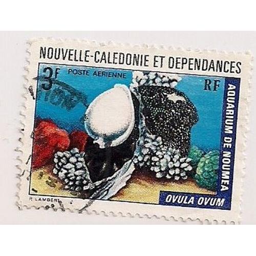 Nouvelle Calédonie Et Dépendances- 1 Timbre Oblitéré- Aquarium- Ovula Ovum