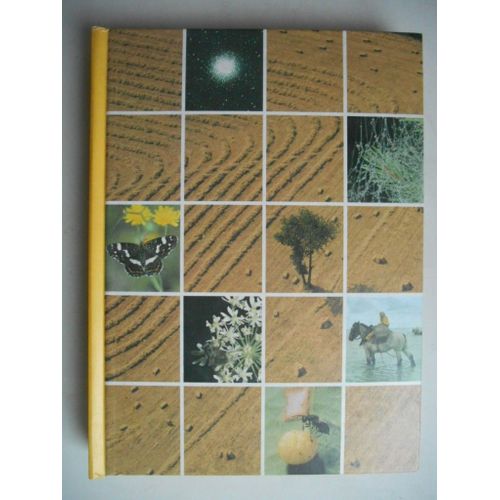 Les Quatre Saisons : L'été