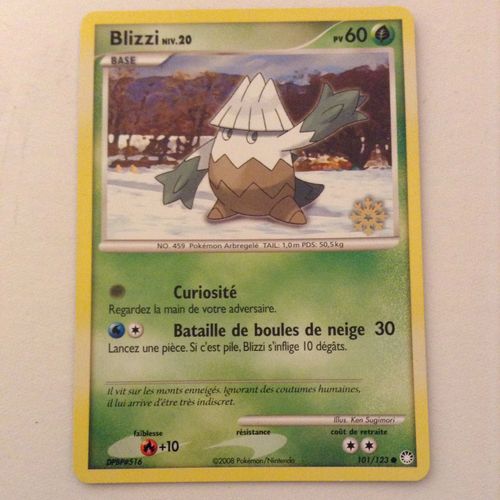 Blizzi N20 60 Pv 101/123 Avec Flocon