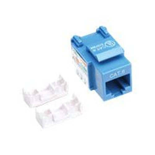 Intellinet Embase CAT6 pour découpe standard, UTP, bleu, terminaison à impact - Prise modulaire - CAT 6 - UTP - RJ-45 - bleu