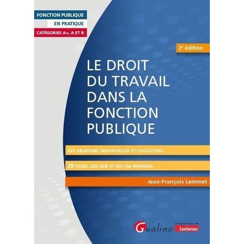Le Droit Du Travail Dans La Fonction Publique - Les Relations Individuelles Et Collectives - 28 Fiches, Des Qcm Et Des Cas Pratiques