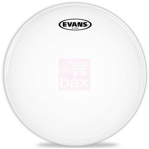 Evans B10g1 Peau Projetée 10"" G1