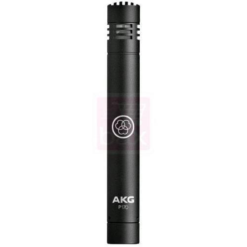 AKG Project Studio P170 micro tubulaire à condensateur