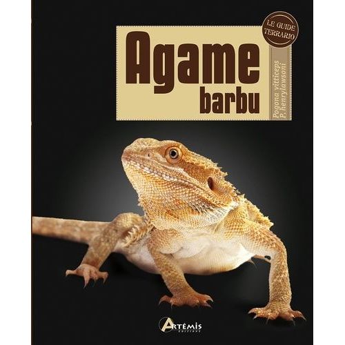 Agame Barbu - Pogona Vitticeps P. Henrylawsoni