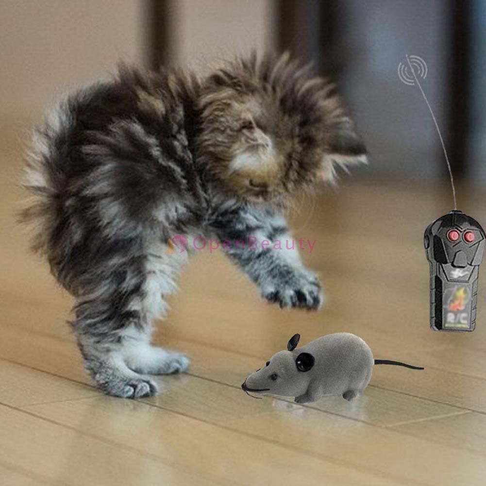 Nouveaute 16 Souris Telecommandee Jouet Chat Sans Fil Voiture Radiocommandee Pour Animaux Chat Chien Rakuten