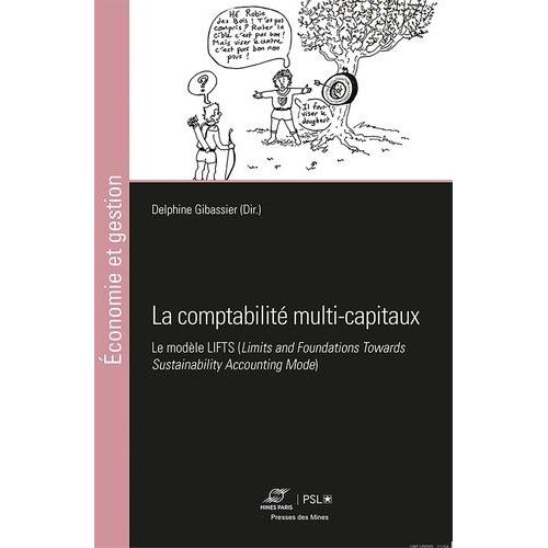 La Comptabilité Multi-Capitaux - Le Modèle Lifts (Limits And Foundations Towards Sustainability Accounting Model)