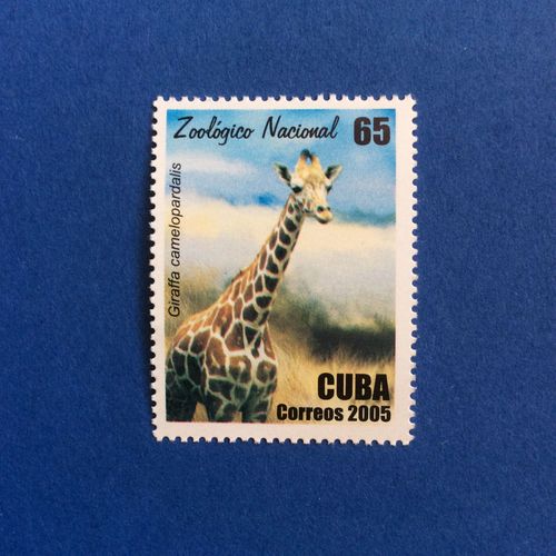 Cuba - Parc Zoologique National - Girafe (Y & T 4265)