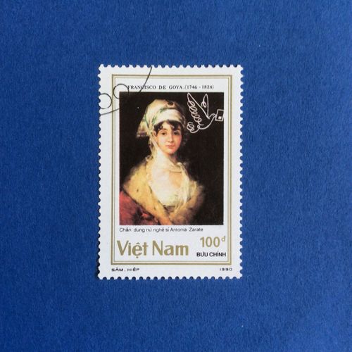 Vietnam - Antonia Zarate De Francisco De Goya