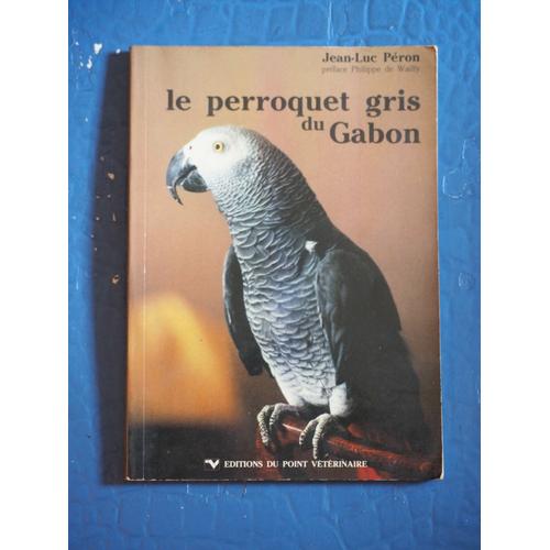 Le Perroquet Gris Du Gabon