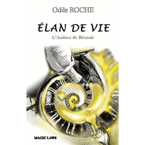 Elan De Vie - L'audace De Réussir - Sur Les Traces Jean-Pierre Schlinger, Grand Entrepreneur En Fauteuil Roulant