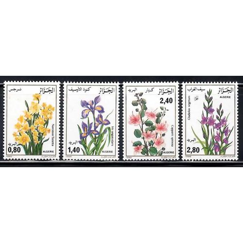 4 Fleurs D'algérie