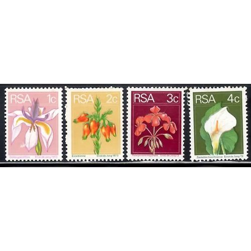 4 Fleurs D'afrique Du Sud