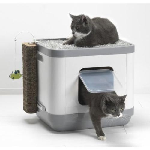 Maison De Toilette Chat Le Cube