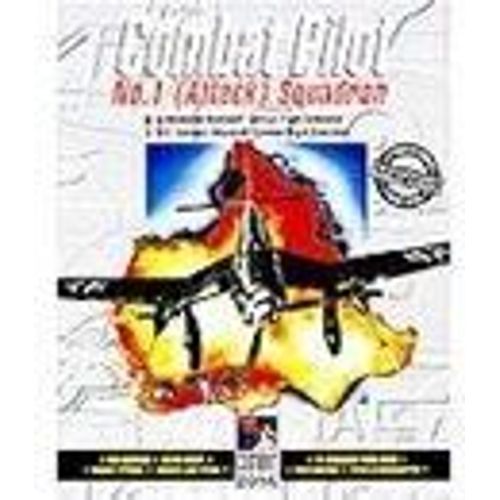 Combat Pilot Pc