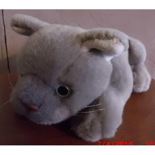 Chat Qui Miolle Anna Club Plush