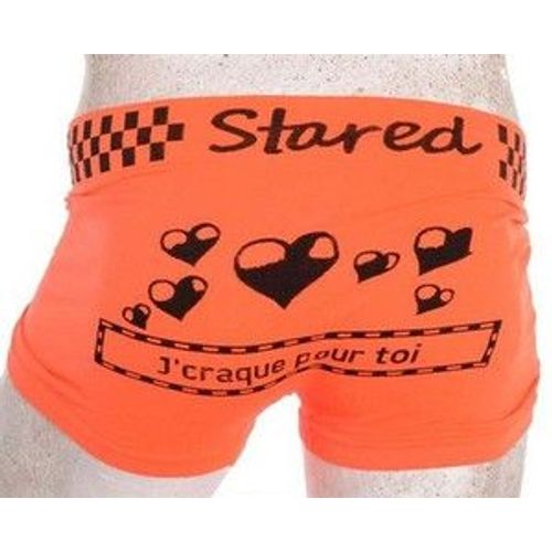 Boxer Stared
