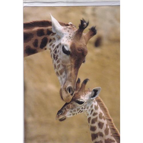 La Tendresse De La Girafe  Pour Son Girafon  Carte Depliante 2 Volets  + Enveloppe Dans Son Blister D'origine
