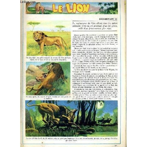 Tout L'univers - Documentaire 66 - Le Lion - Documentaire 67 - Le Coton - Documentaire 68 - L'oeille - Documentaire 69 - Le Caravage - Documentaire 70 - Histoires De La Chaussure - ...