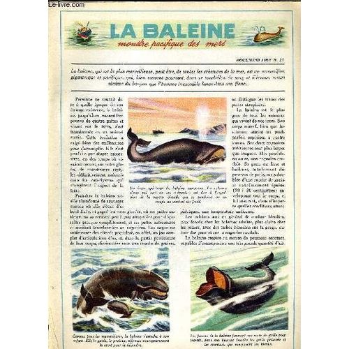 Tout L'univers - Documentaire N°21 - La Baleine - Monstre Pacifique Des Mers - Documentaire N°22 - Les Plantes Carnivores - Documentaire N° 3 - L'hirondelle Et Son Nid - Documentaire N°24 - ...