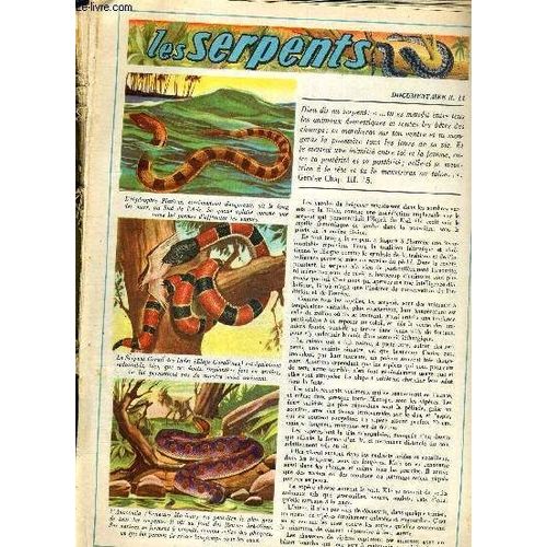 Tout L'univers - Documentation N°14 - Les Serpents - Documentation N°15 - Marie Curie - La Decouverte Du Radium - Documentation N°16 - Le Ver A Soie - Documentaire N°17 - Moisissures ...