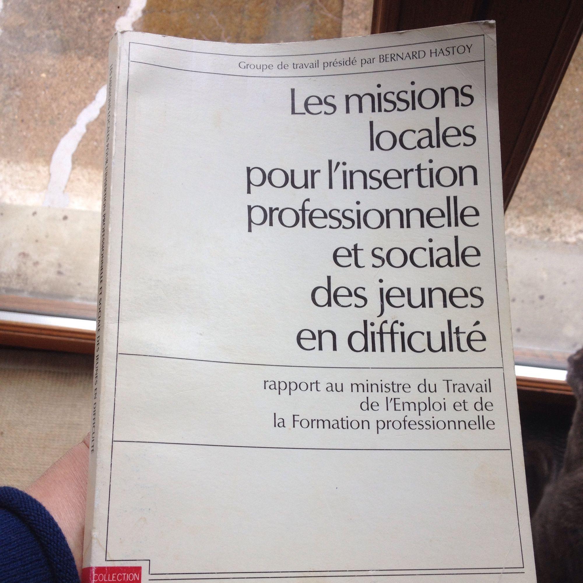 Les Missions Locales Pour L Insertion Professionnelle Et Sociale Des Jeunes En Difficultes Rakuten