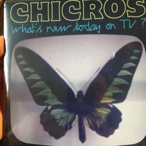 What's New Today On Tv?/ Drunk Bee