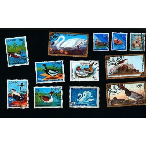 12 Timbres Oiseaux D'eau