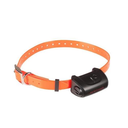 Numaxes Collier Supplémentaire Canicom 5 - Sangle Orange