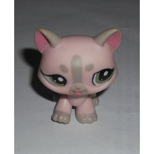 Littlest Petshop Pet Shop Lps Chat Cat Maine Coon Pink Eyes Green 1326