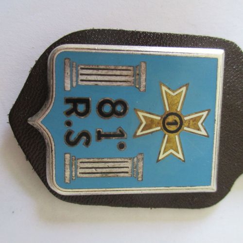 Insigne 81° Régiment De Soutien