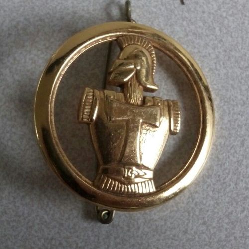 Insigne Béret Transmission 