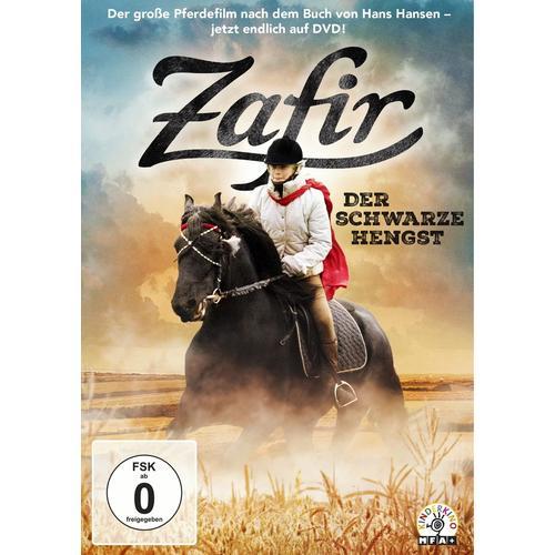 Zafir-Der Schwarze Hengst