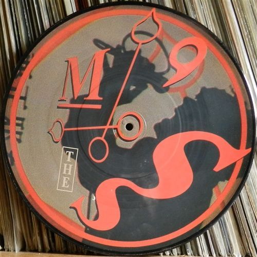 Protection (Pic Disc)