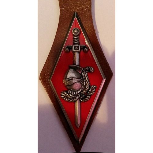 Insigne 10° Division Blindée