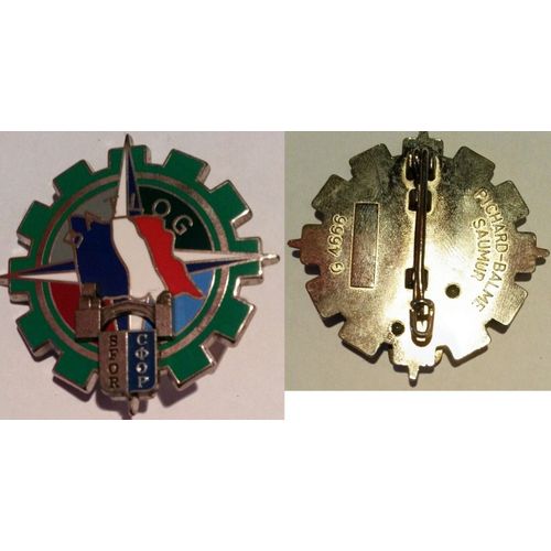 Insigne Sfor, Bat Log, Bataillon Logistique De La D.M.N.S.E Pichard