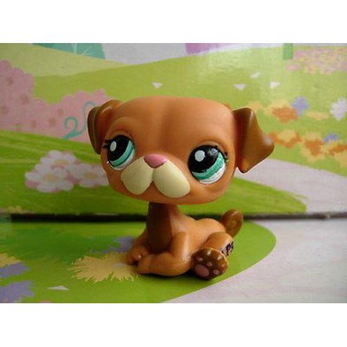 Petshop Chien Marron / Pet Shop #1632